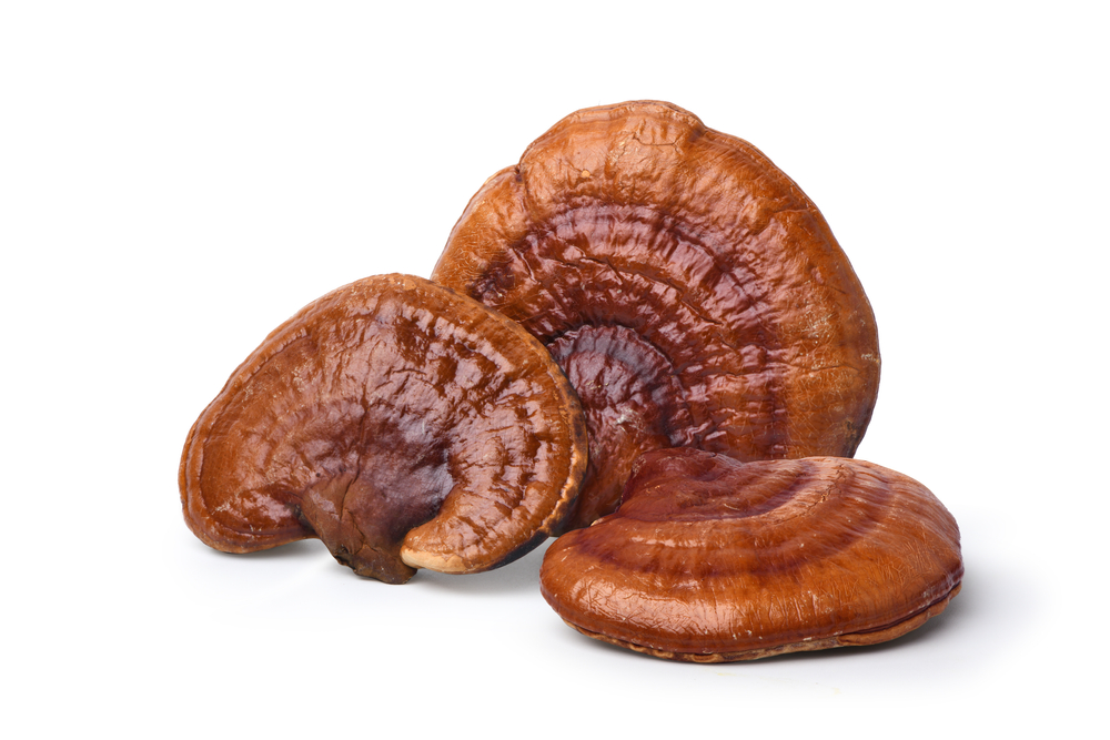 Vermelho,Reishi,Cogumelo,Isolado,Sobre,Branco,Fundo,Recorte,Caminho.
